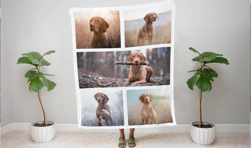 Gepersonaliseerde Honden Dekens