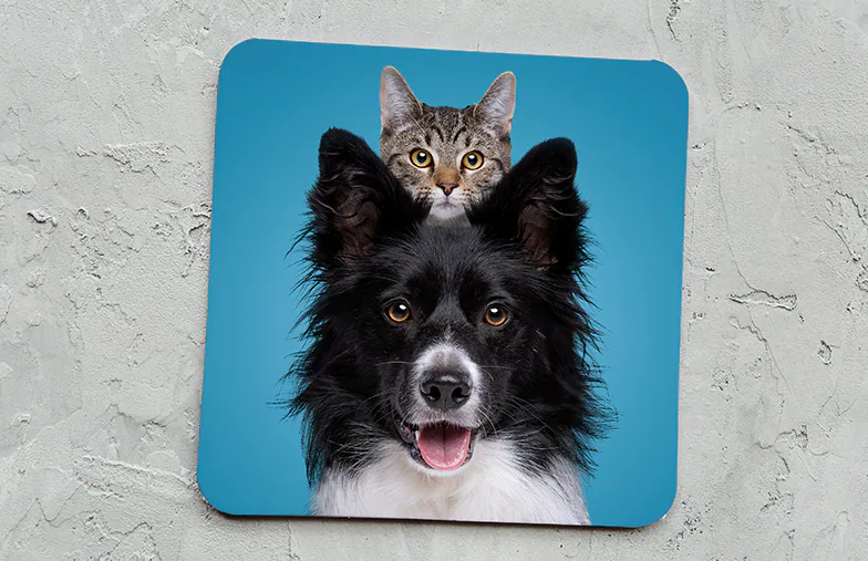 Fotocoasters